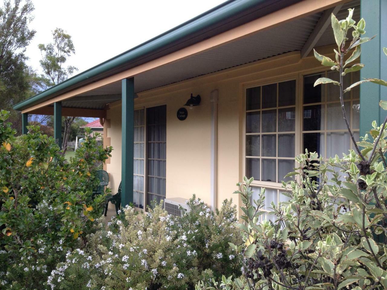 Swansea Cottages & Lodge Suites Exterior photo